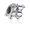 Charm de Pandora